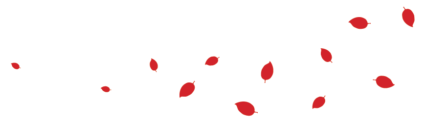 Die Natur nicht zwingen, sondern mit ihr wachsen. Blätter im Wind – die Natur nicht zwingen, sondern mit ihr wachsen.